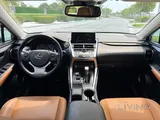 Lexus NX 300 2021